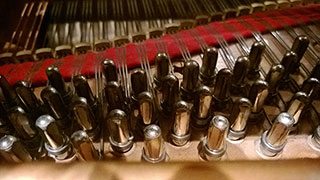 close up photo of piano tuning pegs and strings
